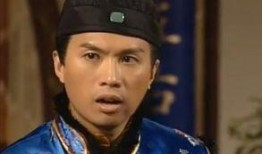 状王宋世杰1在线观看,智斗权贵，法度与情义的较量